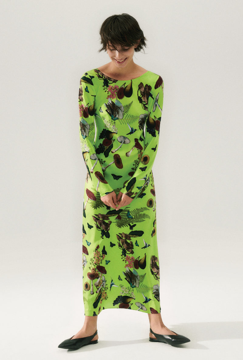 SIENNA DRESS MAGIC MUSHROOM FERN